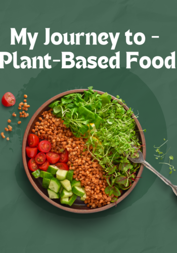 Journey to Plant Based Diet